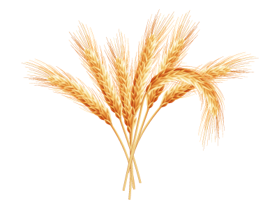 full-width-wheat
