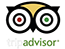 tripadvisor